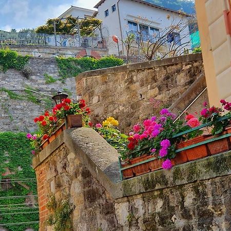 Vasto Apt Panoramico 3 Min Mare Διαμέρισμα Camogli Εξωτερικό φωτογραφία