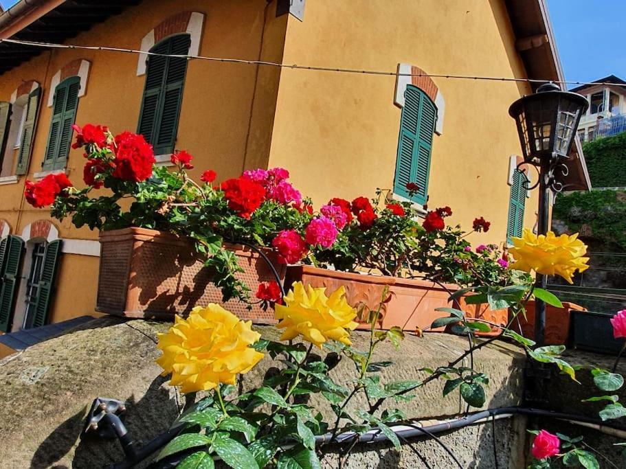 Vasto Apt Panoramico 3 Min Mare Διαμέρισμα Camogli Εξωτερικό φωτογραφία