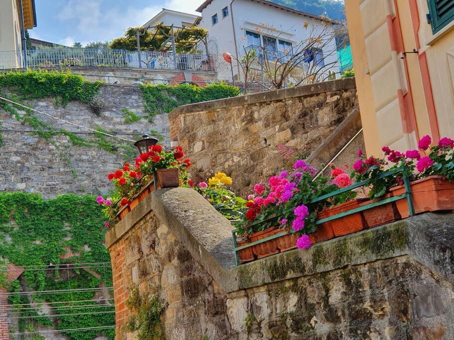 Vasto Apt Panoramico 3 Min Mare Διαμέρισμα Camogli Εξωτερικό φωτογραφία