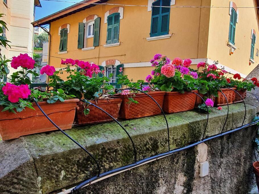 Vasto Apt Panoramico 3 Min Mare Διαμέρισμα Camogli Εξωτερικό φωτογραφία